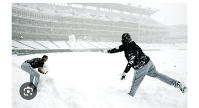 Field Cleanup Update